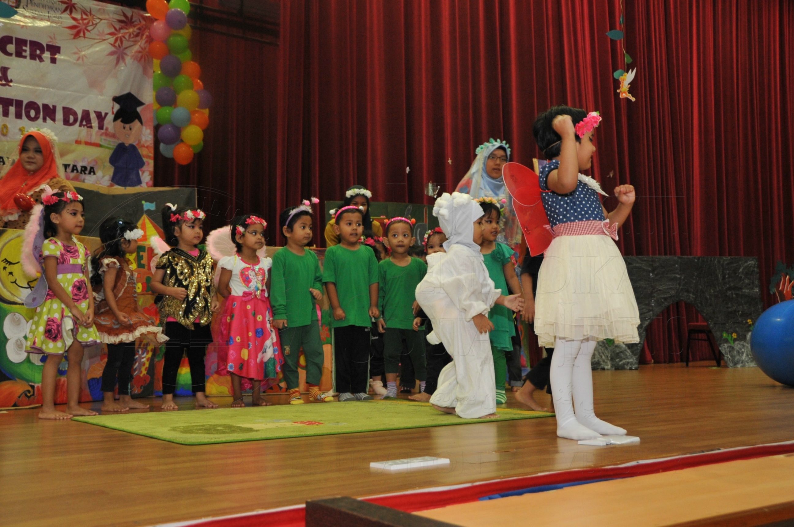 PRO15 163 KONVO HAS 0571